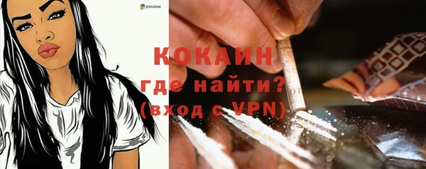 прущий лед Алзамай