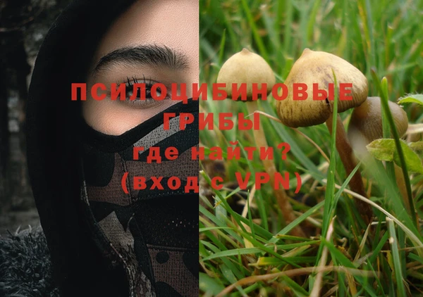 прущий лед Алзамай