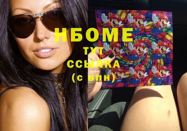 прущий лед Алзамай
