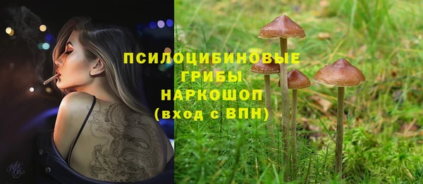 прущий лед Алзамай