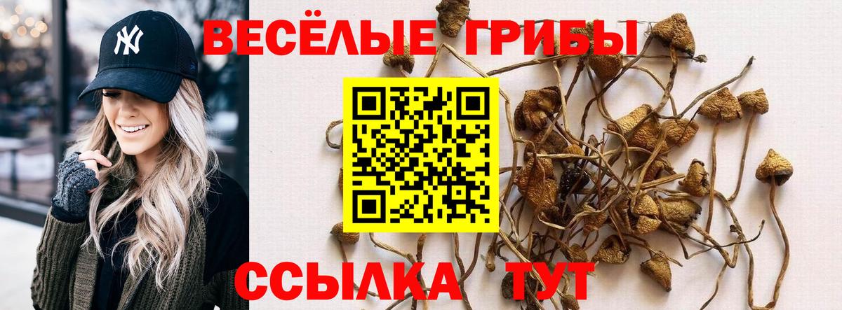 Галлюциногенные грибы Psilocybine cubensis Чусовой